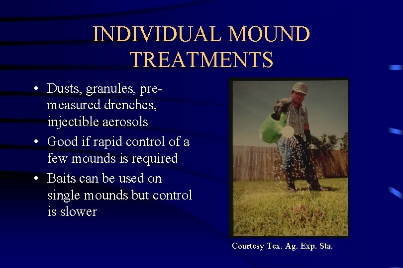 INDIVIDUAL MOUND TREATMENTS • Dusts, granules, premeasured drenches, injectible aerosols • Good if rapid