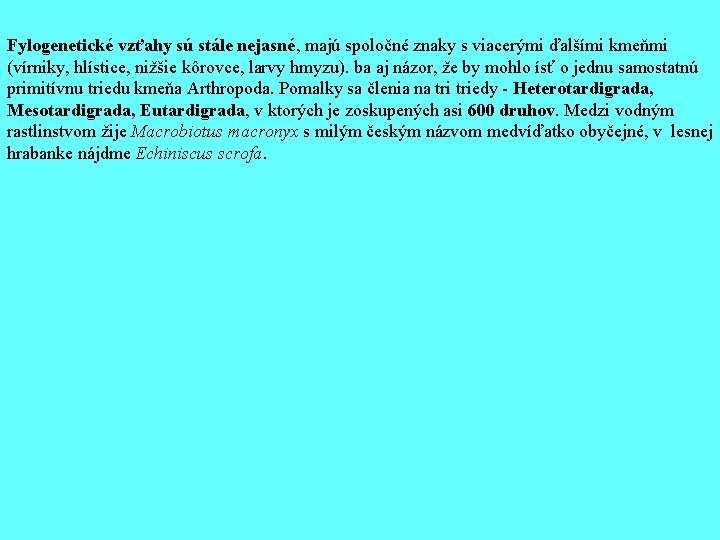 Fylogenetické vzťahy sú stále nejasné, majú spoločné znaky s viacerými ďalšími kmeňmi (vírniky, hlístice,