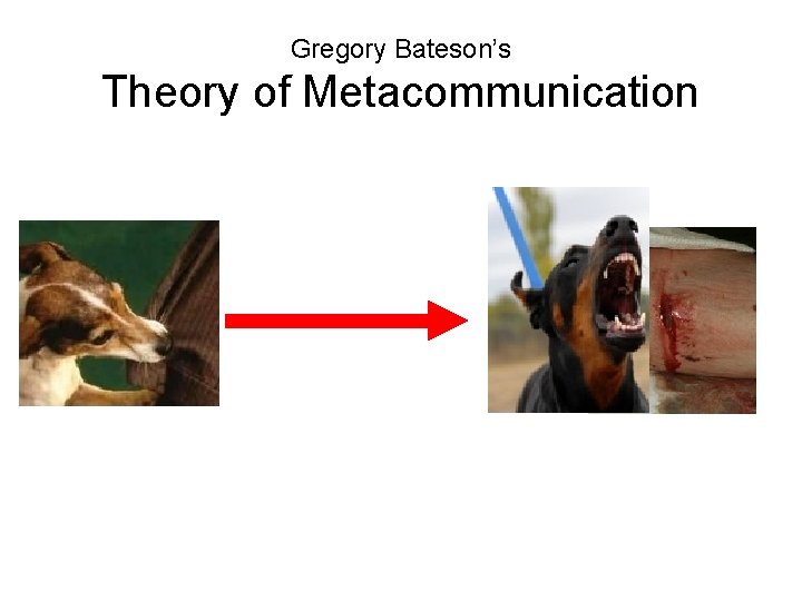 Gregory Bateson’s Theory of Metacommunication 