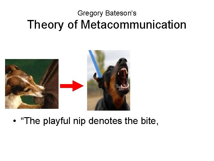 Gregory Bateson’s Theory of Metacommunication • “The playful nip denotes the bite, 