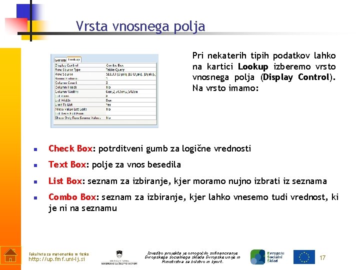 Vrsta vnosnega polja Pri nekaterih tipih podatkov lahko na kartici Lookup izberemo vrsto vnosnega