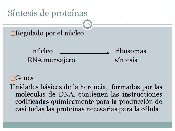 Síntesis de proteínas 26 �Regulado por el núcleo RNA mensajero ribosomas síntesis �Genes Unidades