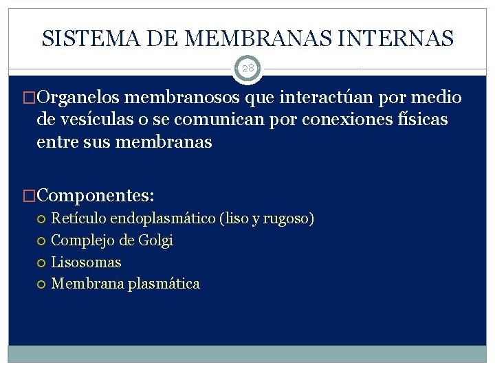 SISTEMA DE MEMBRANAS INTERNAS 28 �Organelos membranosos que interactúan por medio de vesículas o