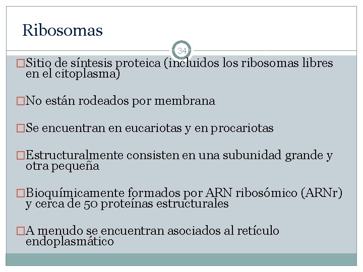 Ribosomas 34 �Sitio de síntesis proteica (incluidos los ribosomas libres en el citoplasma) �No