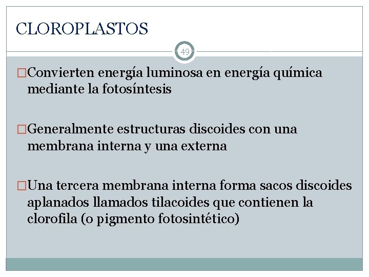 CLOROPLASTOS 49 �Convierten energía luminosa en energía química mediante la fotosíntesis �Generalmente estructuras discoides