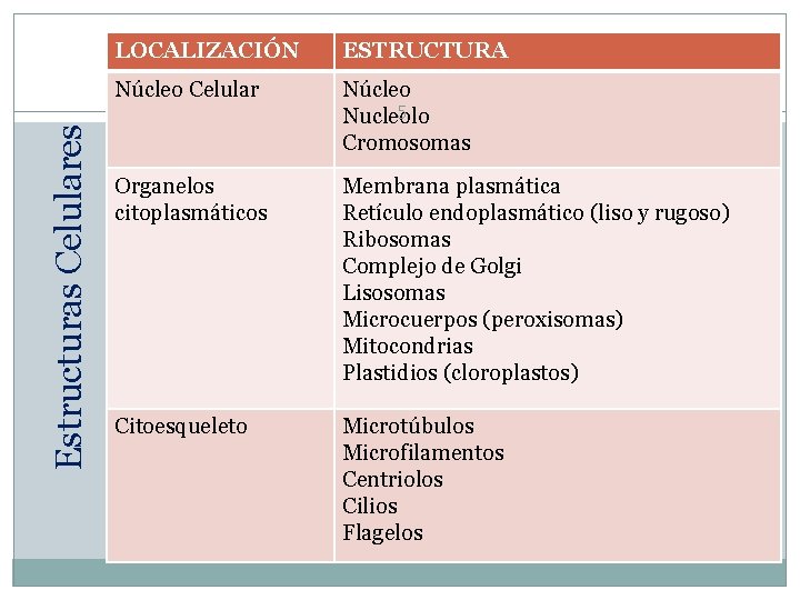 Estructuras Celulares LOCALIZACIÓN ESTRUCTURA Núcleo Celular Núcleo 5 Nucleolo Cromosomas Organelos citoplasmáticos Membrana plasmática