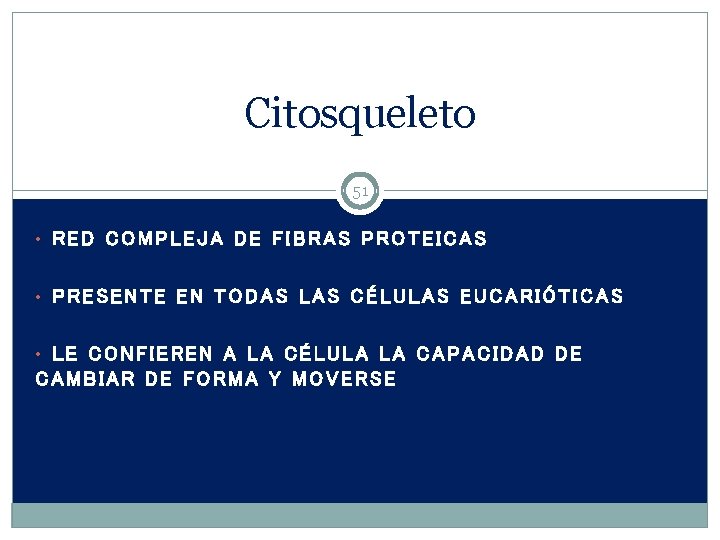 Citosqueleto 51 • RED COMPLEJA DE FIBRAS PROTEICAS • PRESENTE EN TODAS LAS CÉLULAS
