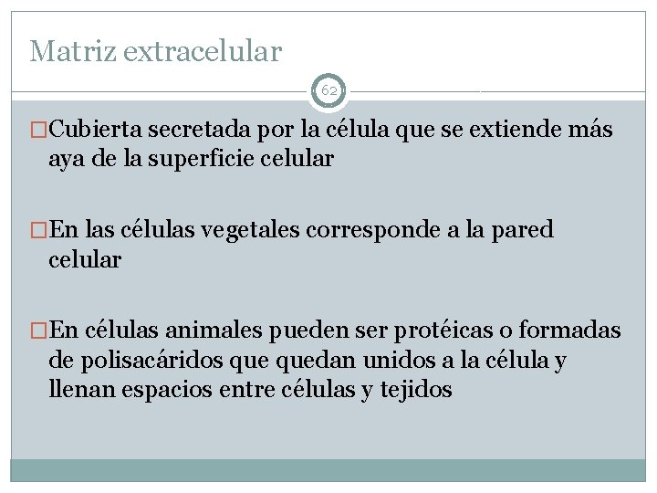 Matriz extracelular 62 �Cubierta secretada por la célula que se extiende más aya de