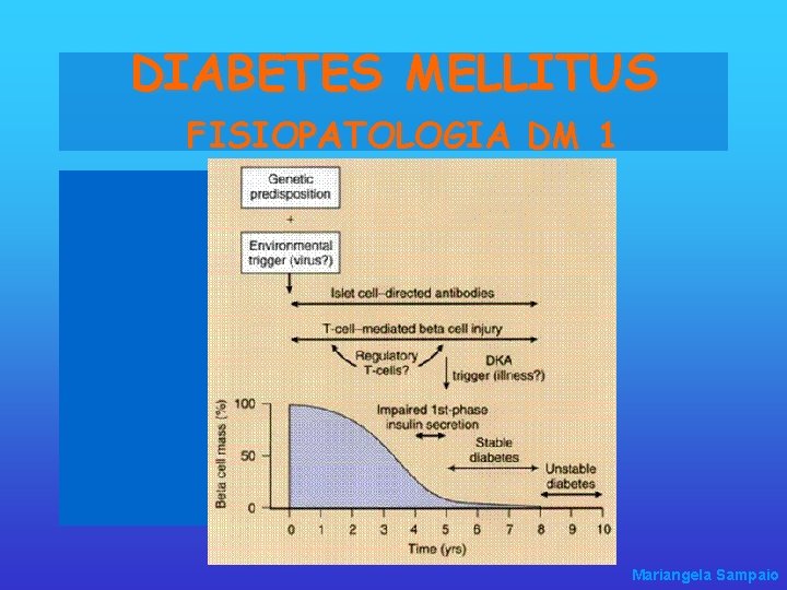 DIABETES MELLITUS FISIOPATOLOGIA DM 1 Mariangela Sampaio 