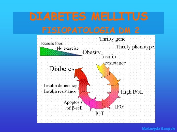 DIABETES MELLITUS FISIOPATOLOGIA DM 2 Mariangela Sampaio 