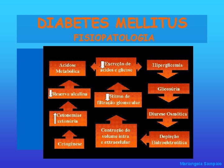 DIABETES MELLITUS FISIOPATOLOGIA Mariangela Sampaio 