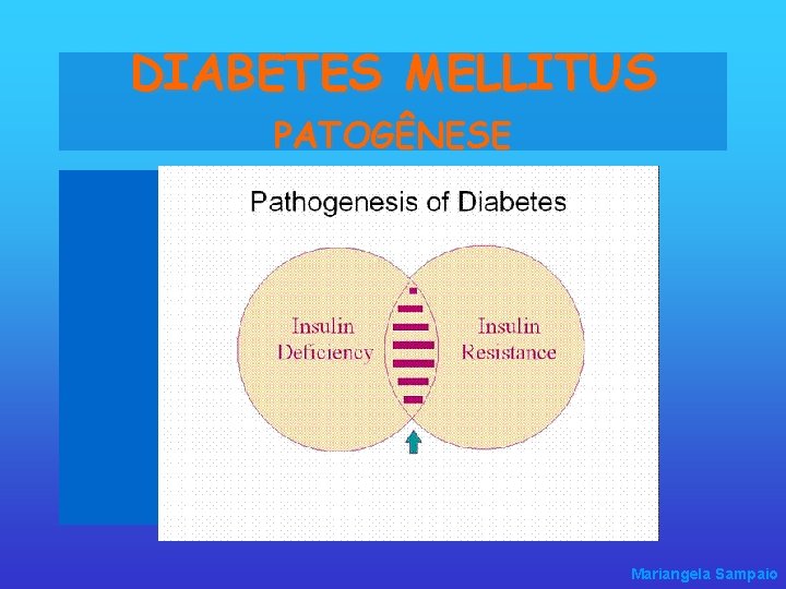 DIABETES MELLITUS PATOGÊNESE Mariangela Sampaio 