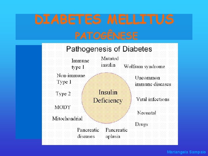 DIABETES MELLITUS PATOGÊNESE Mariangela Sampaio 