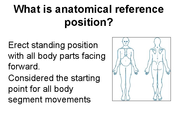 What is anatomical reference position? Erect standing position with all body parts facing forward.