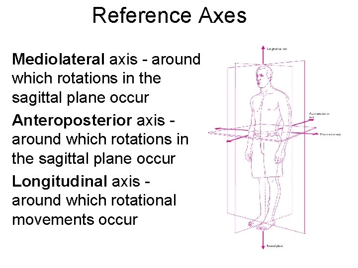 Reference Axes Mediolateral axis - around which rotations in the sagittal plane occur Anteroposterior