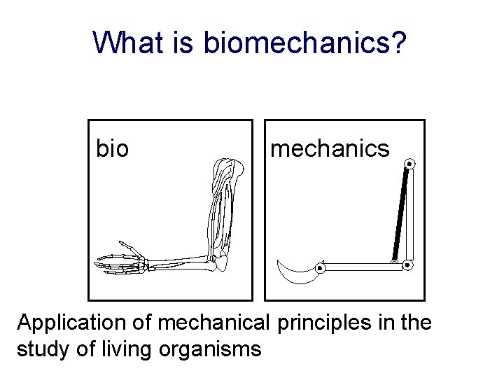What is biomechanics? bio mechanics Application of mechanical principles in the study of living
