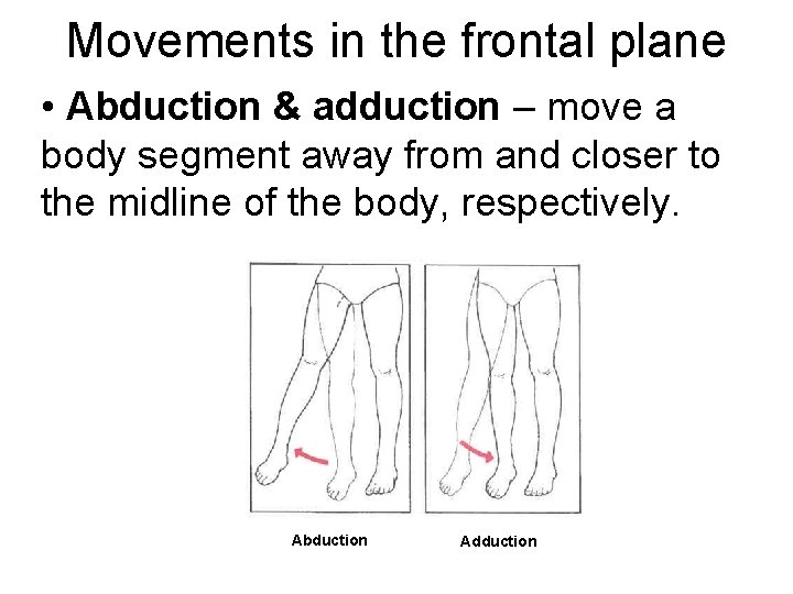 Movements in the frontal plane • Abduction & adduction – move a body segment