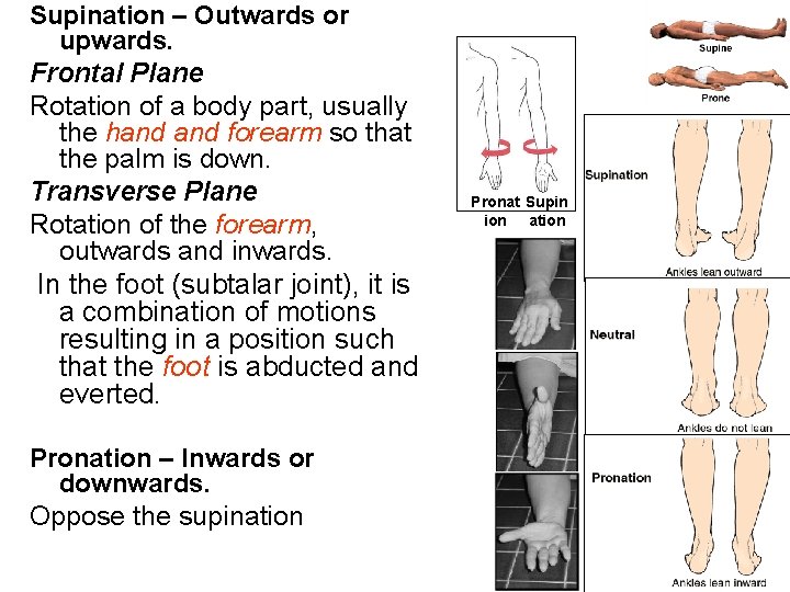 Supination – Outwards or upwards. Frontal Plane Rotation of a body part, usually the