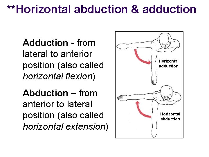 **Horizontal abduction & adduction Adduction - from lateral to anterior position (also called horizontal