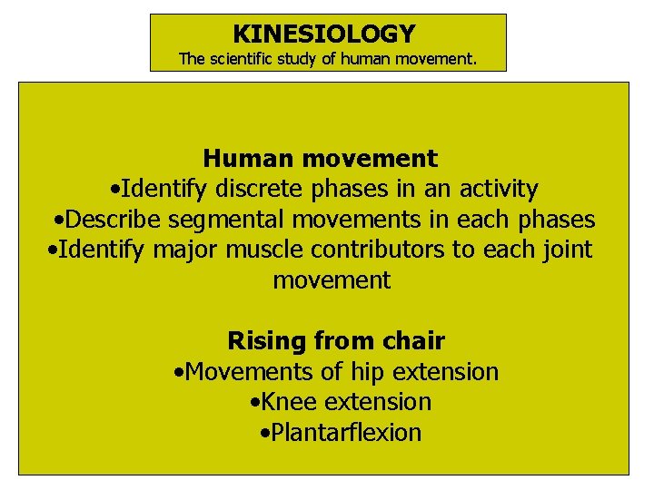 KINESIOLOGY The scientific study of human movement. Human movement • Identify discrete phases in