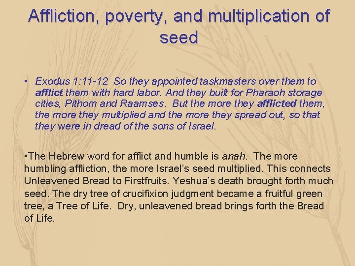 Affliction, poverty, and multiplication of seed • Exodus 1: 11 -12 So they appointed