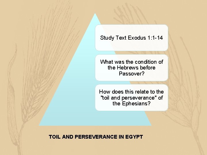 Study Text Exodus 1: 1 -14 What was the condition of the Hebrews before