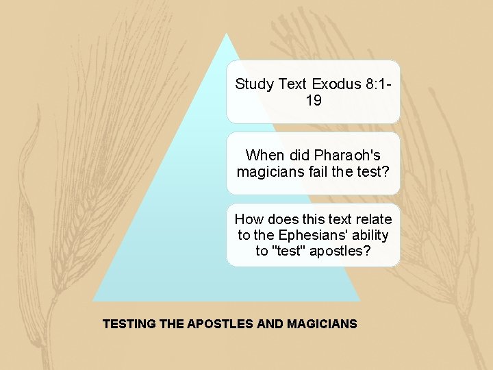 Study Text Exodus 8: 119 When did Pharaoh's magicians fail the test? How does