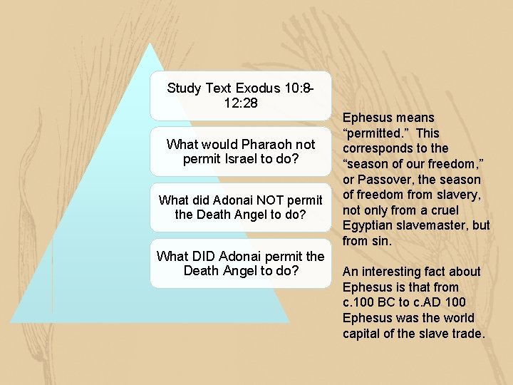 Study Text Exodus 10: 812: 28 What would Pharaoh not permit Israel to do?