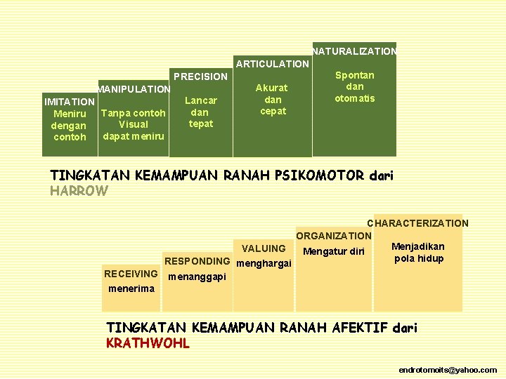 NATURALIZATION ARTICULATION PRECISION MANIPULATION IMITATION Tanpa contoh Meniru Visual dengan dapat meniru contoh Lancar