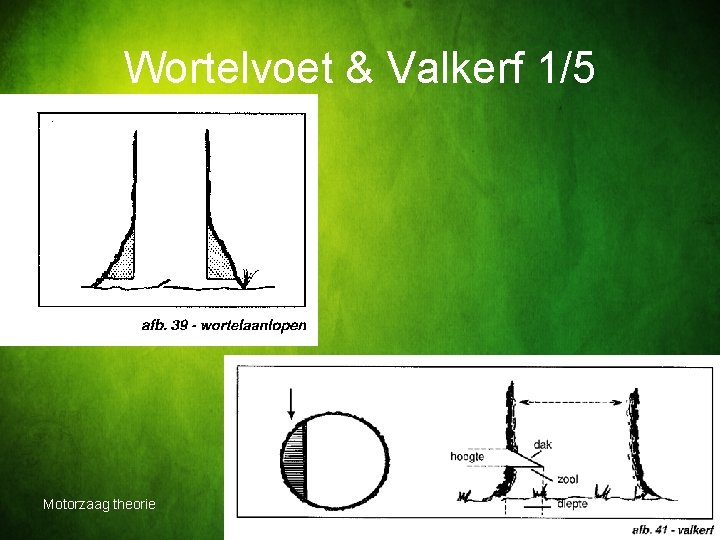 Wortelvoet & Valkerf 1/5 Motorzaag theorie GLTM 