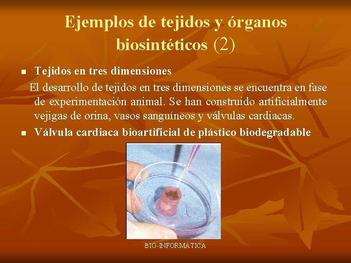 Ejemplos de tejidos y órganos biosintéticos (2) Tejidos en tres dimensiones El desarrollo de