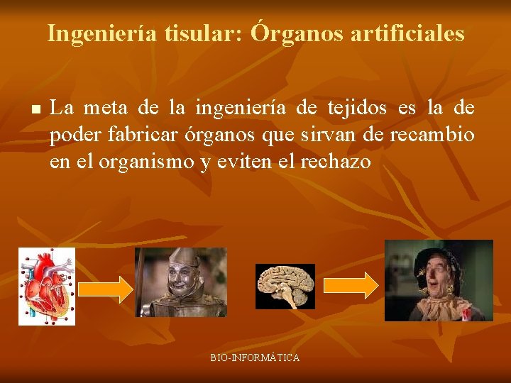 Ingeniería tisular: Órganos artificiales n La meta de la ingeniería de tejidos es la