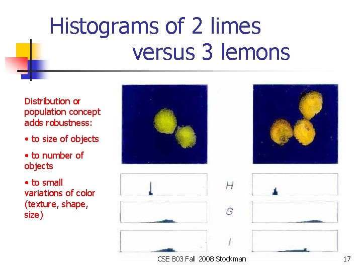 Histograms of 2 limes versus 3 lemons Distribution or population concept adds robustness: •