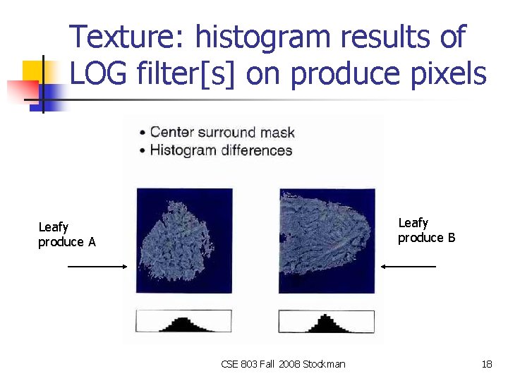 Texture: histogram results of LOG filter[s] on produce pixels Leafy produce B Leafy produce