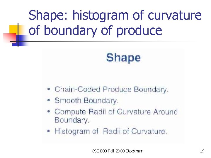 Shape: histogram of curvature of boundary of produce CSE 803 Fall 2008 Stockman 19