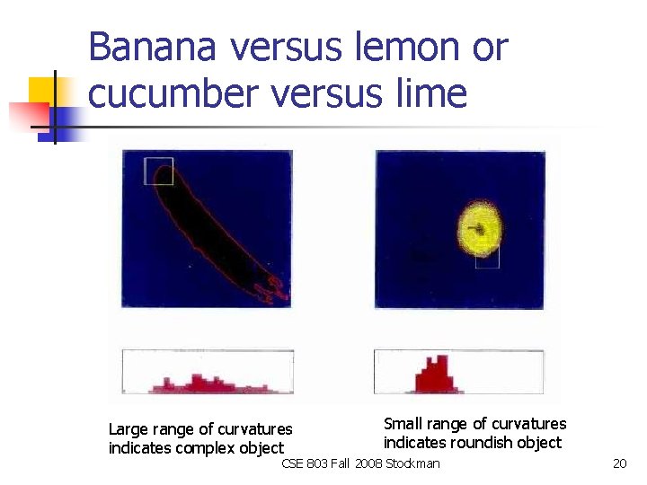 Banana versus lemon or cucumber versus lime Large range of curvatures indicates complex object