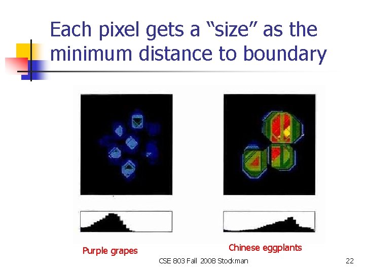 Each pixel gets a “size” as the minimum distance to boundary Purple grapes Chinese