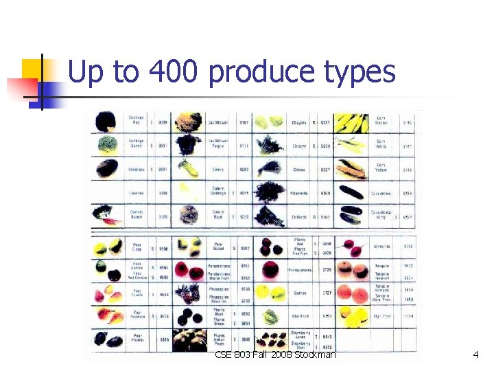 Up to 400 produce types CSE 803 Fall 2008 Stockman 4 