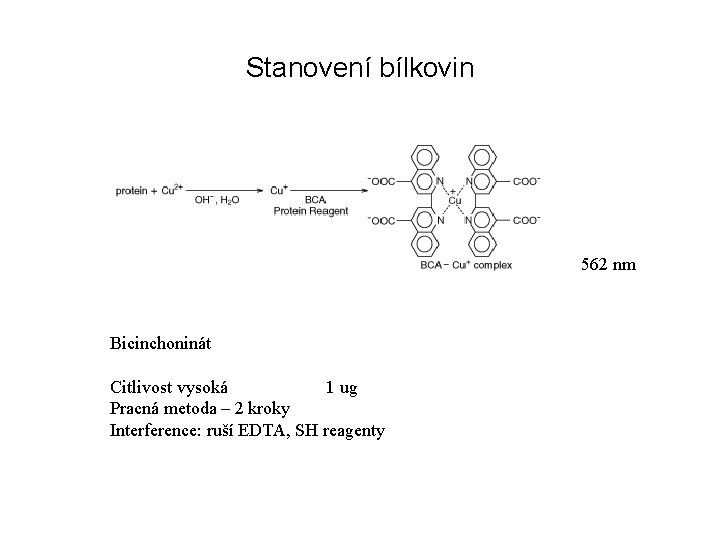 Stanovení bílkovin 562 nm Bicinchoninát Citlivost vysoká 1 ug Pracná metoda – 2 kroky