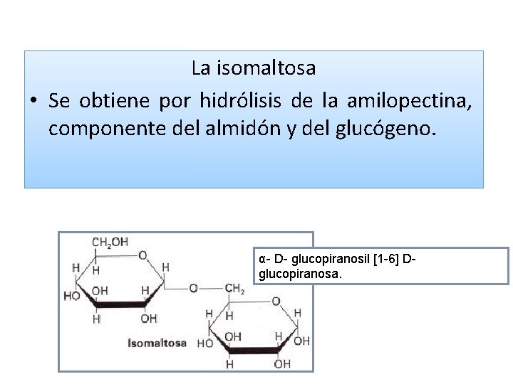 La isomaltosa • Se obtiene por hidrólisis de la amilopectina, componente del almidón y