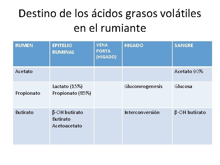 Destino de los ácidos grasos volátiles en el rumiante RUMEN EPITELIO RUMINAL VENA PORTA