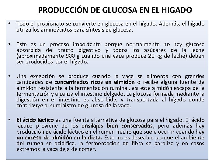 PRODUCCIÓN DE GLUCOSA EN EL HIGADO • Todo el propionato se convierte en glucosa