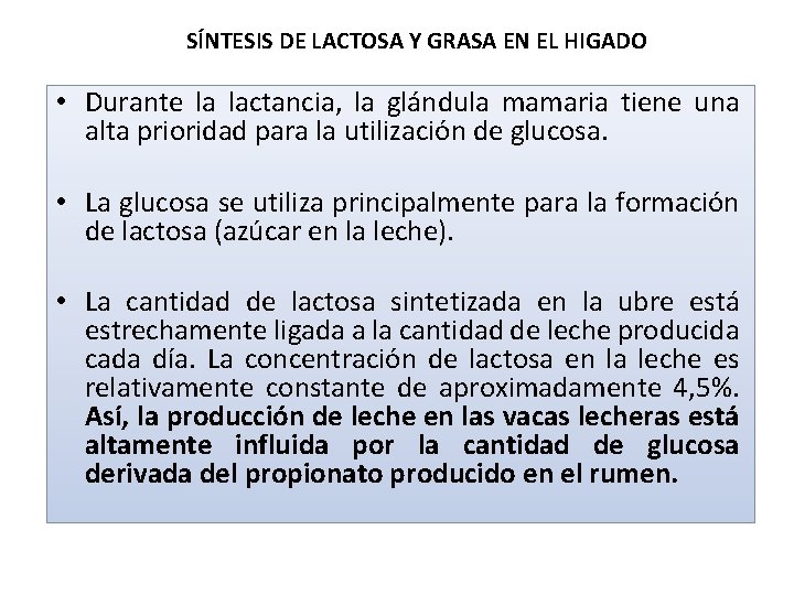 SÍNTESIS DE LACTOSA Y GRASA EN EL HIGADO • Durante la lactancia, la glándula
