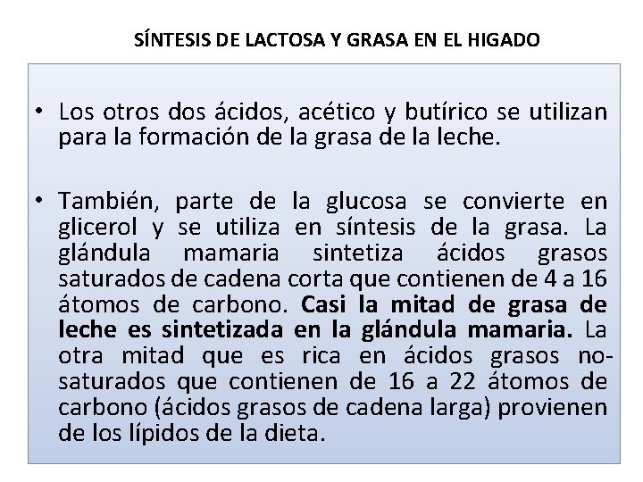 SÍNTESIS DE LACTOSA Y GRASA EN EL HIGADO • Los otros dos ácidos, acético