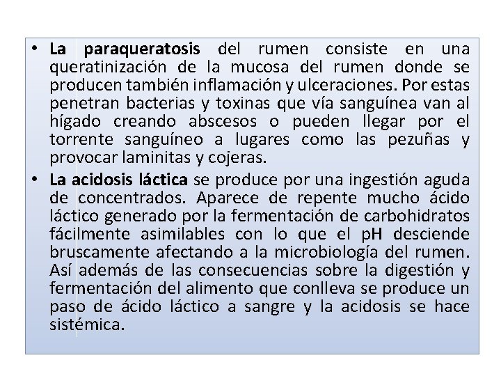  • La paraqueratosis del rumen consiste en una queratinización de la mucosa del