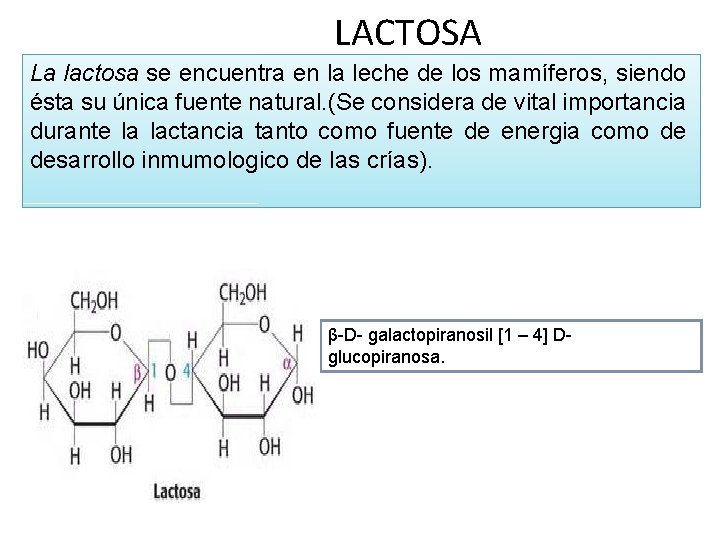 LACTOSA La lactosa se encuentra en la leche de los mamíferos, siendo ésta su