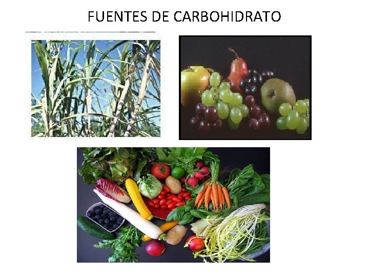 FUENTES DE CARBOHIDRATO 