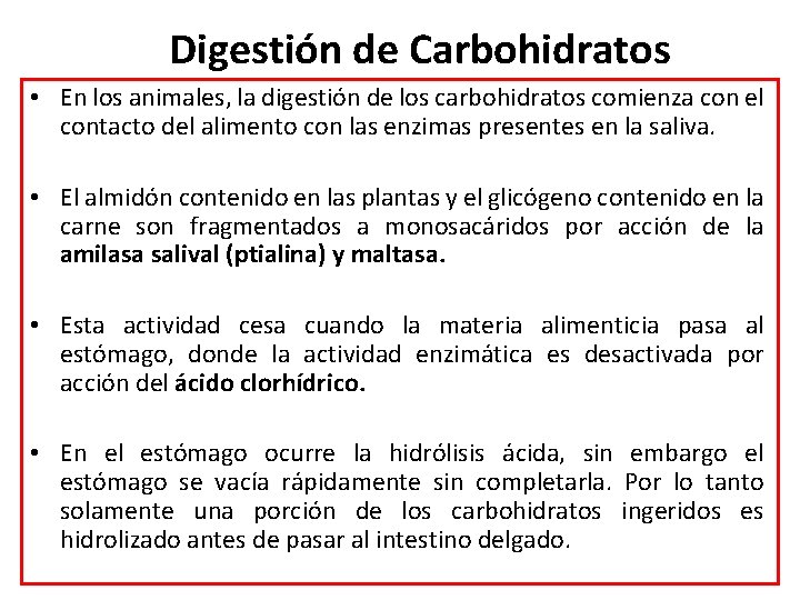 Digestión de Carbohidratos • En los animales, la digestión de los carbohidratos comienza con