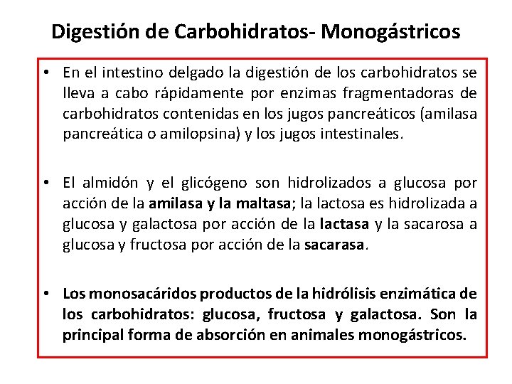 Digestión de Carbohidratos- Monogástricos • En el intestino delgado la digestión de los carbohidratos