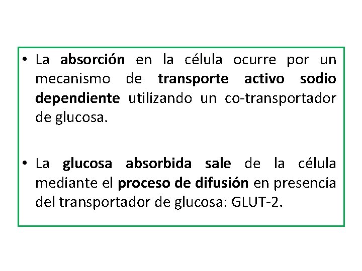  • La absorción en la célula ocurre por un mecanismo de transporte activo